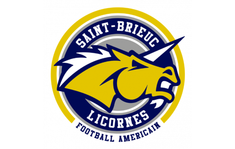 Licornes de Saint Brieuc