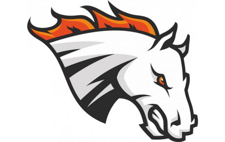 Stallions de Laval