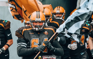 KELTED 🆚 LICORNES by Romain Lefebvre